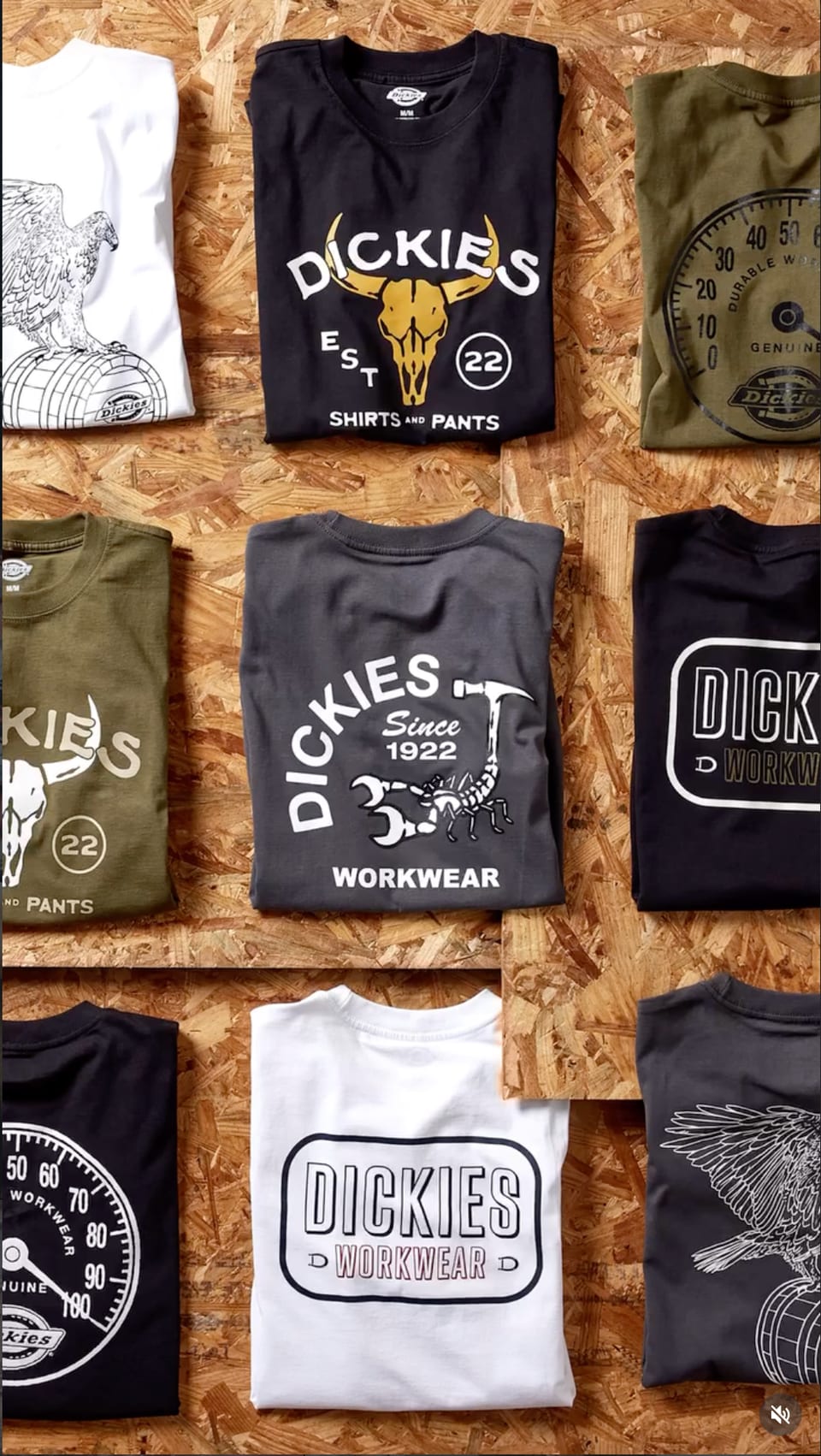 Dickies — frame 8