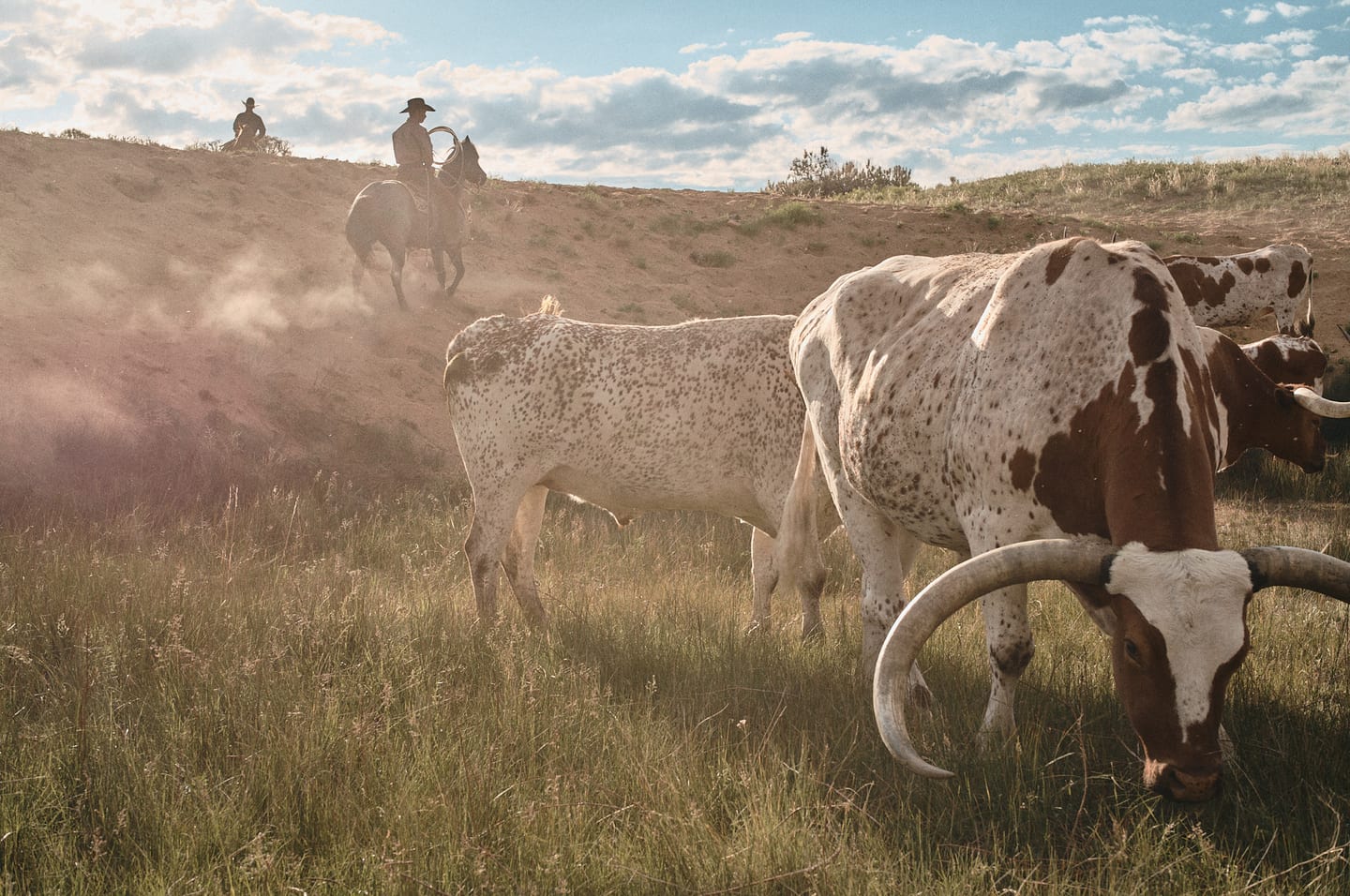 Tony Lama Boots — frame 11